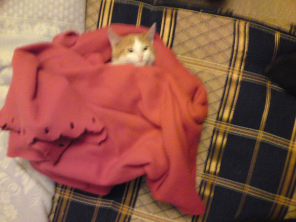 Сергей Беров