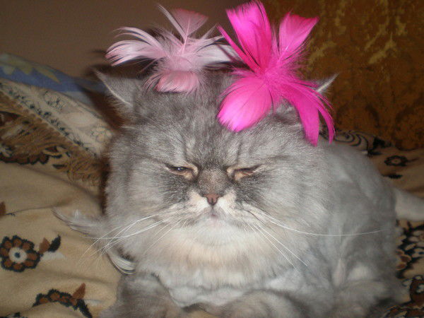 Марина Муратовская