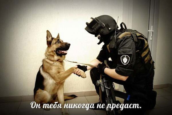 Данил Миртов