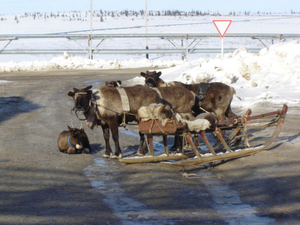 Алексей Рубинштейн
