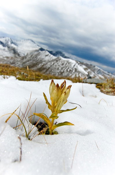 Дмитрий Кислов
