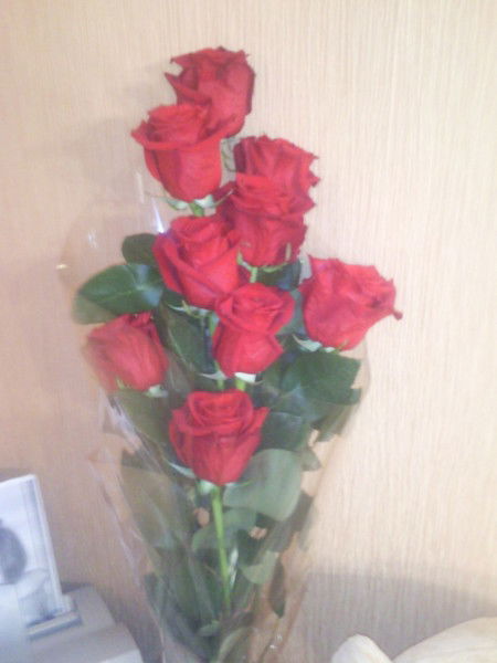 Галина Забровская