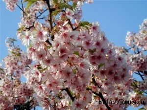 Венера Енсебаева