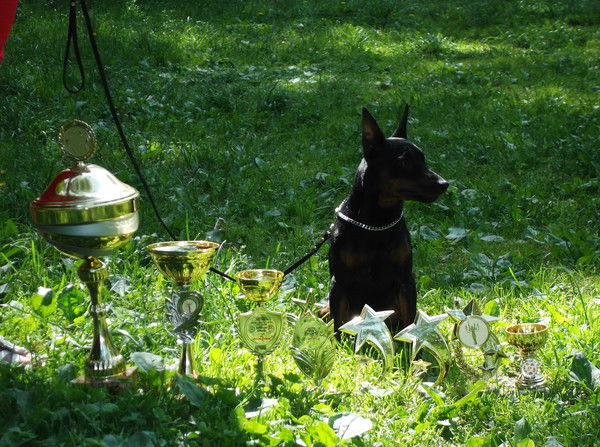 Татьяна Кузьменко