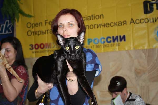 Ирина Васильева