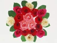 Гульнар Канаева