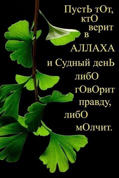 Еркебулан Астанинский