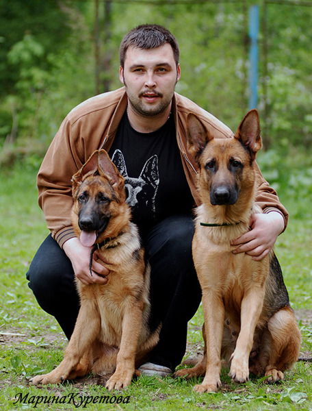 Дмитрий Рогов