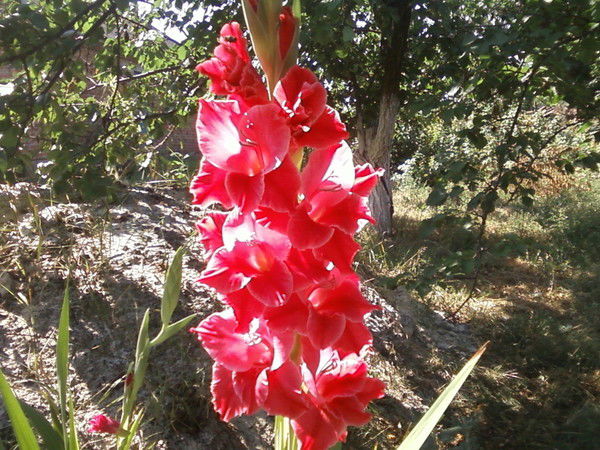 Сергей Кравченко