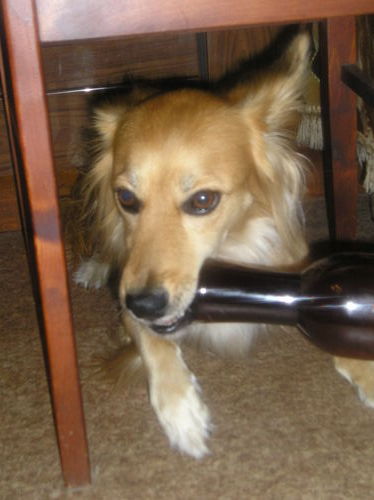 Дмитрий Федоров