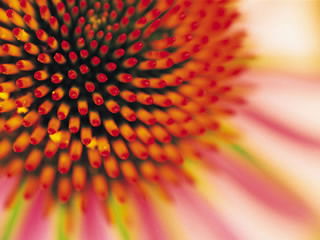 Иван Иванов