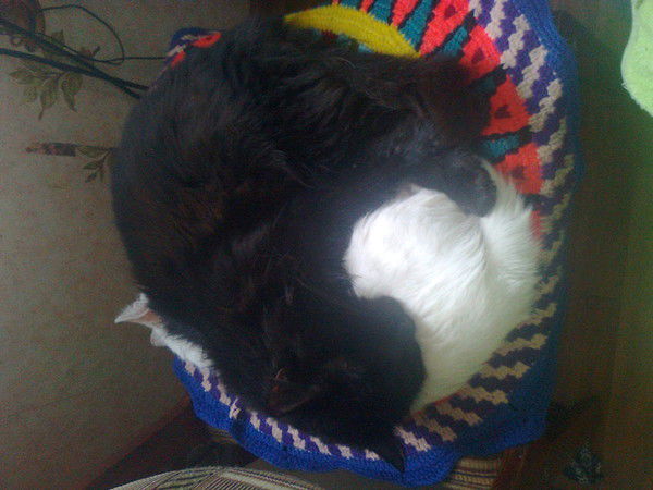 Мишель Лемарк