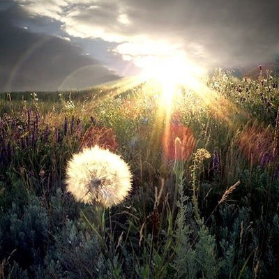 Александр Ротмистров