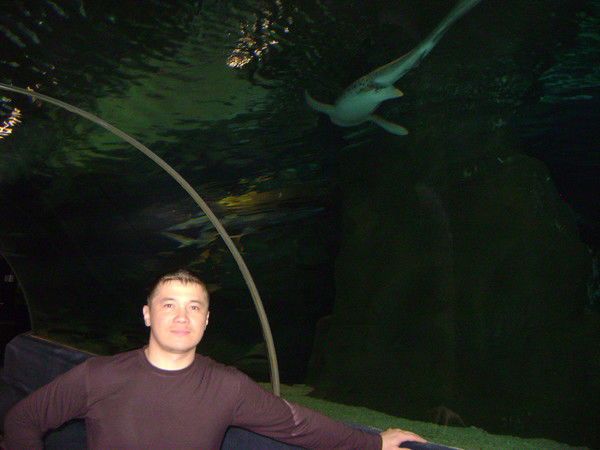 Тимур Макаев