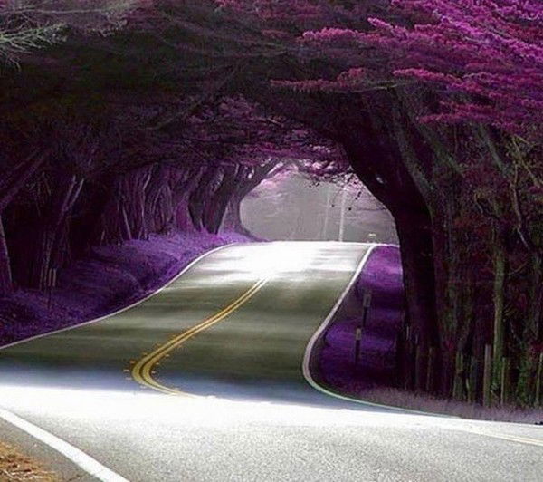 Бауыржан Берденов