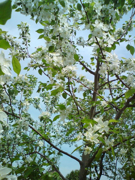 Валентина Ященко