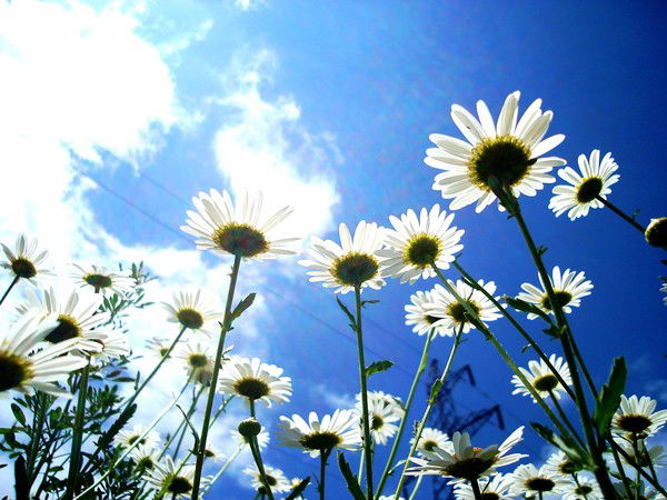 Татьяна Бакшеева