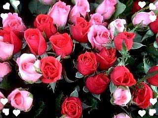 Татьяна Щербакова