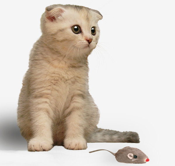 Алена Гордийчук