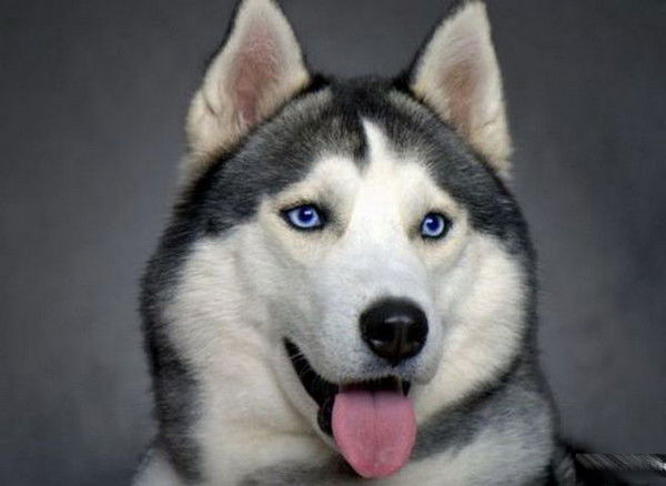 Туман Туманище