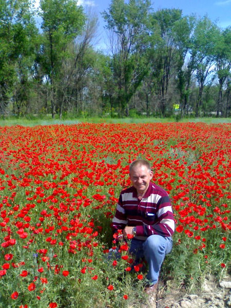 Сергей Бесчетный