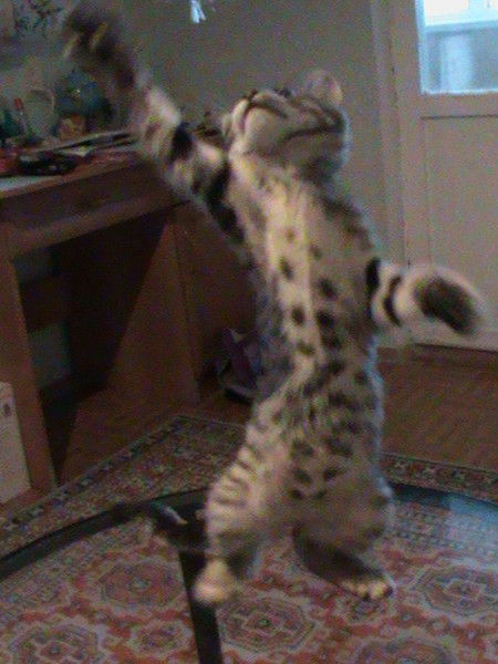 Даша Уколова