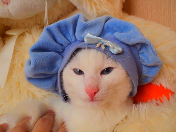 (((( Няшка :)))))