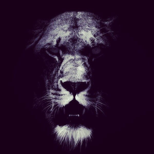 Женя Паниченко