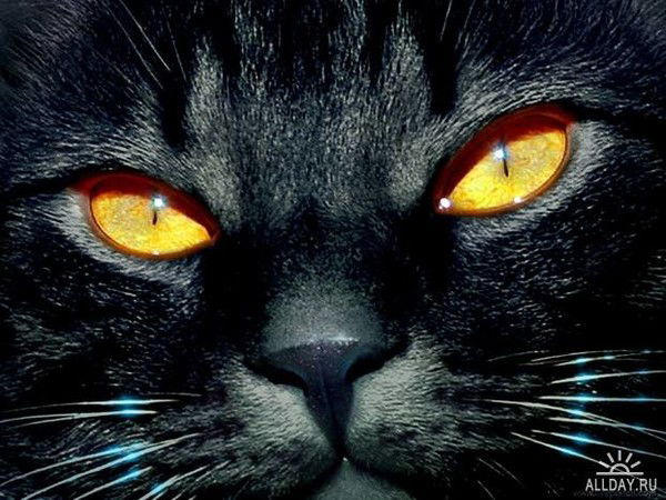 ********** **********