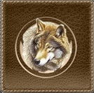 Анатолий Данилов