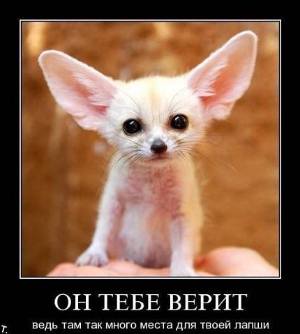 Марина Вороная