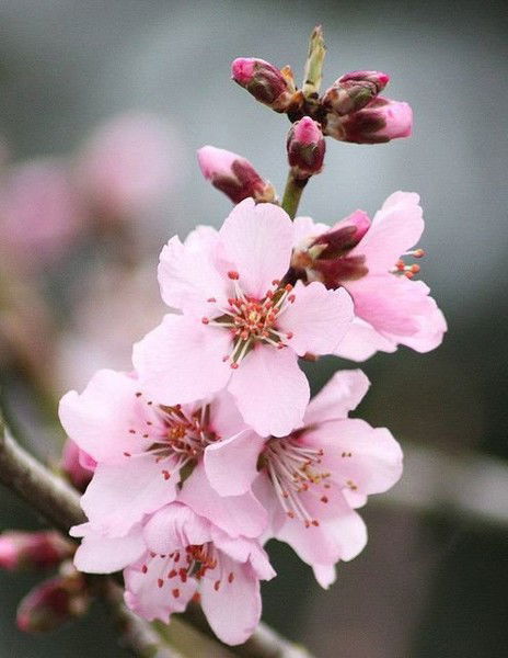 Екатерина Ищенко