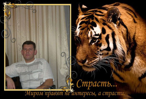 Николай Соловьёв