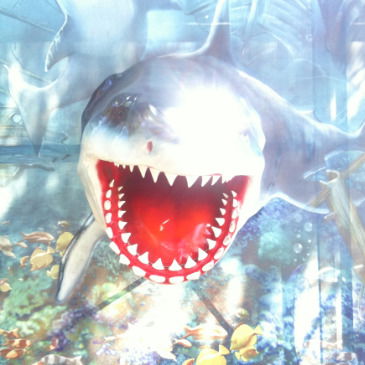 Владимир Кирный