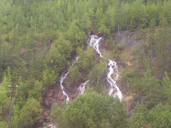 Елена Ватолина