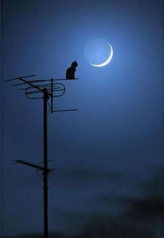 Павел Востьянов