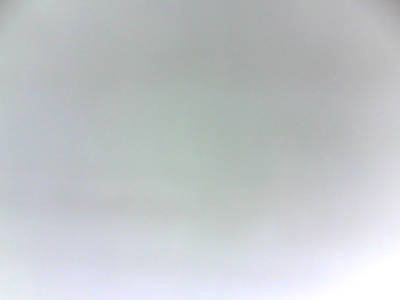 Алексей Шабунин