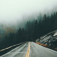 Альбина Курмаева