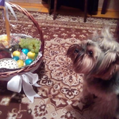 Александр Древаль