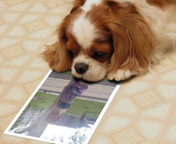 Марина Кучина