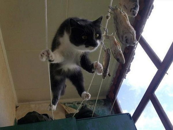 Лида Дрогальцева