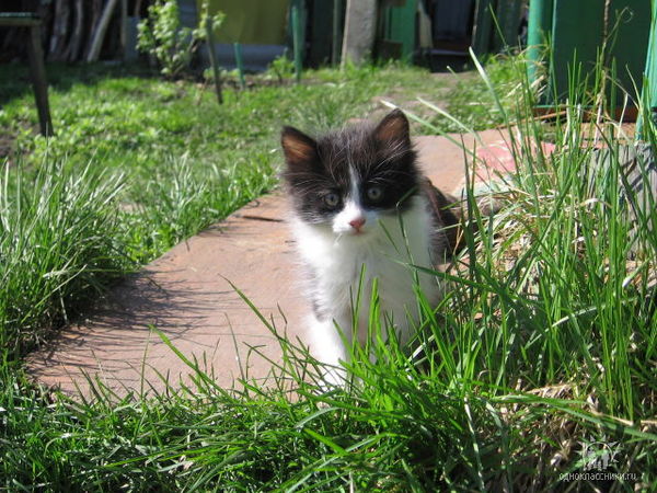 Елена Евсеева