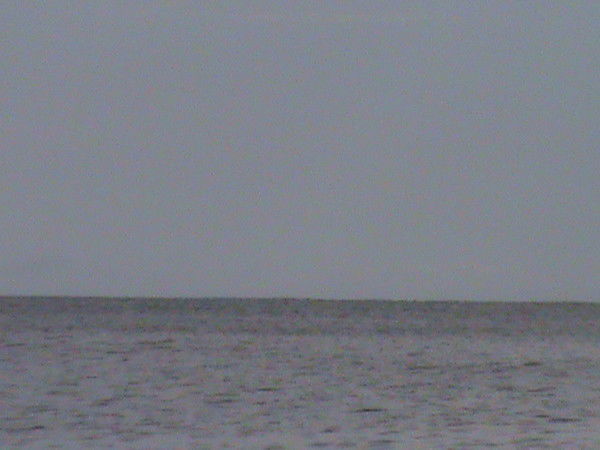 Ксения Куликова