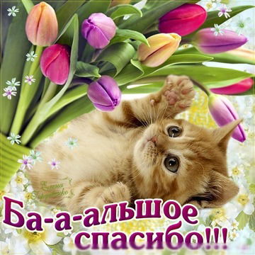 Фаррух Рамаев