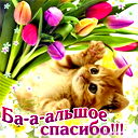 Фаррух Рамаев