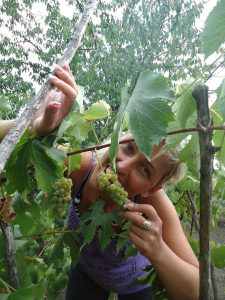 Наталья Афанасьева