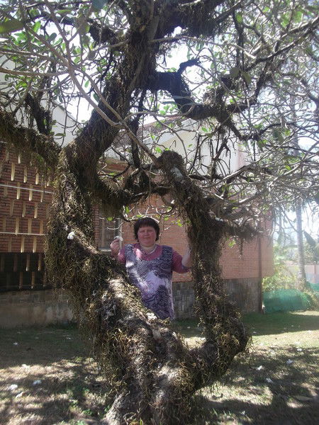 Елена Александровна