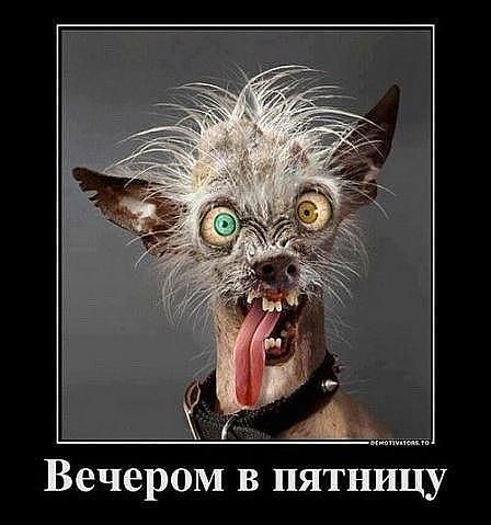 Валерий Кудрявцев