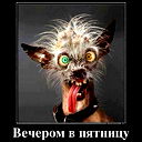 Валерий Кудрявцев