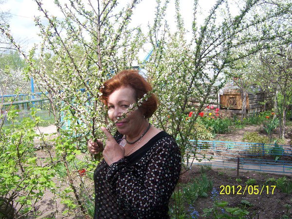 Любовь Колесник